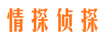 莱城市调查公司